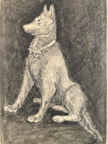 Dessin 1970 Crayon Chien Animal Animaux Art Brut Naïf  Drawing Ancien Original