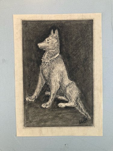 Dessin 1970 Crayon Chien Animal Animaux Art Brut Naïf  Drawing Ancien Original