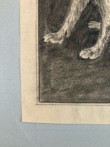 Dessin 1970 Crayon Chien Animal Animaux Art Brut Naïf  Drawing Ancien Original