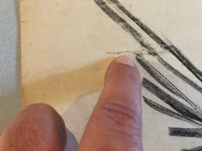 Dessin 1970 Oiseau Crayon Fusain Colombe Animal Animaux A Identifier Drawing XXe