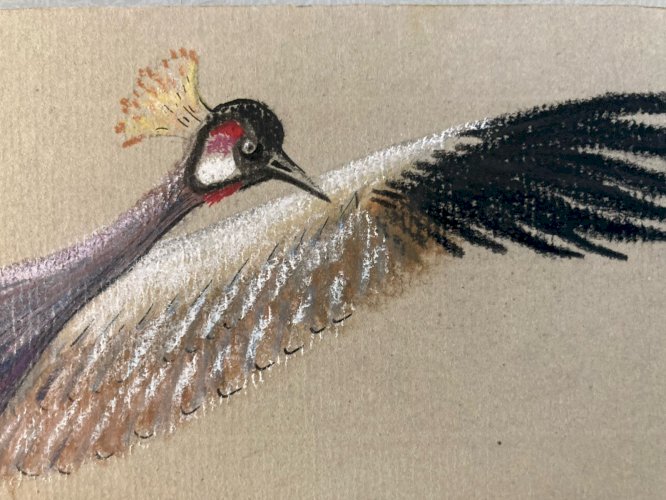 Dessin 1980 Oiseau Crayon Fusain Grue Animal Animaux A Identifier Art XXe