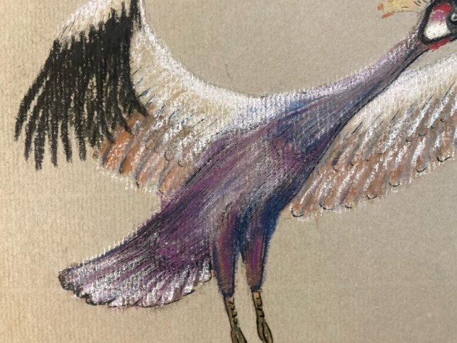 Dessin 1980 Oiseau Crayon Fusain Grue Animal Animaux A Identifier Art XXe