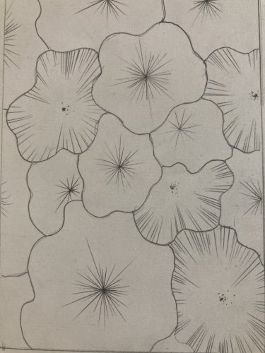 Dessin Abstrait 1976 Crayon Sur Papier abstraction Géométrique Art Fleur