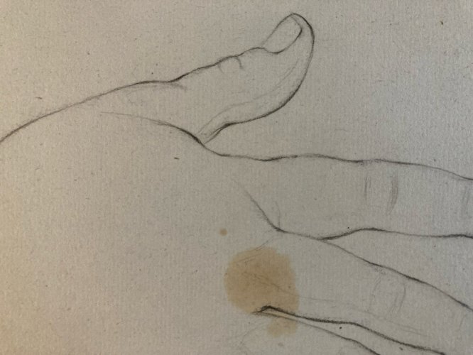 dessin anatomie mine plomb XIXe Main Art Ancien 1850 Doigt École Française