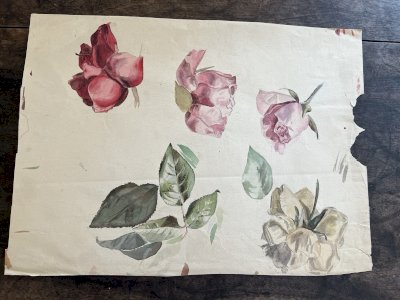 Drawing, Antique Watercolor 19th Century Botanical Rose, Flowers, Leaf Double-Sided Study