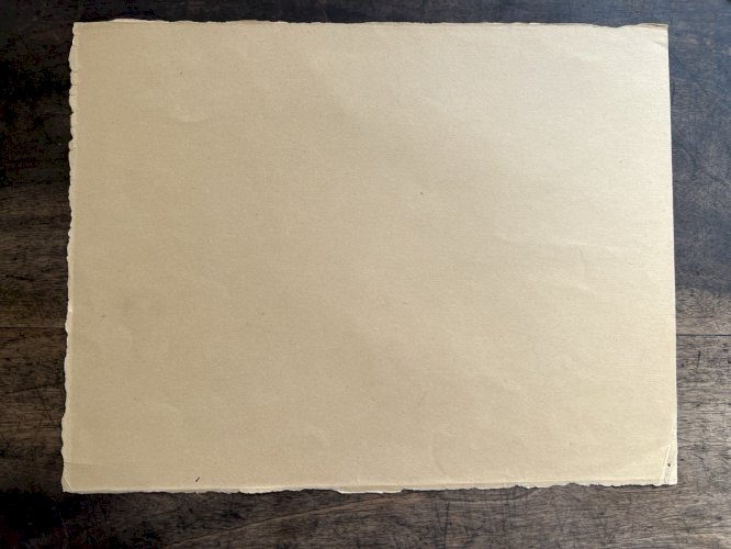 Dessin Ancien Etude De Roses Crayon Sur Papier Ancien XIXème Étude Botanique