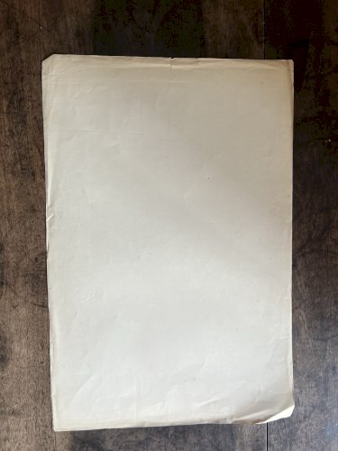 Dessin Ancien Etude Fleurs Crayon Sur Papier Ancien XIXème Étude Naturaliste