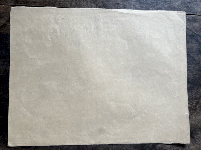 Dessin Ancien Etude Iris Encre Sur Papier Ancien XIXème Étude Naturaliste