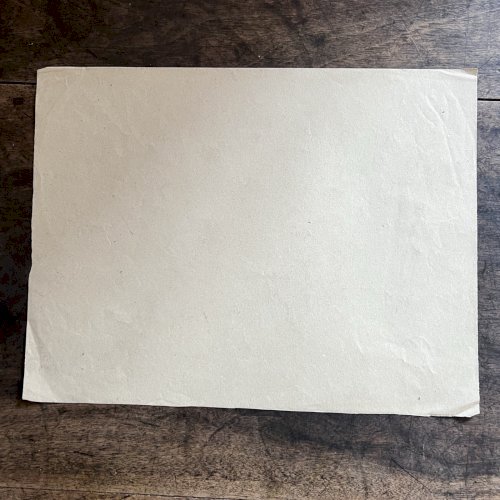 Dessin Ancien Etude Marguerite Crayon Sur Papier Ancien XIXème Étude Naturaliste