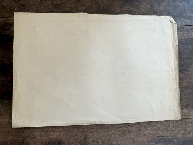 Dessin Ancien Etude Marguerites Crayon Sur Papier Ancien XIXème Étude Botanique