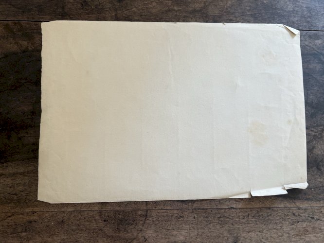 Dessin Ancien Etude Roses Crayon Sur Papier Ancien XIXème Étude Botanique