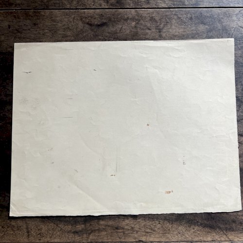 Dessin Ancien Etude Roses Encre Sur Papier Ancien XIXème Étude Naturaliste