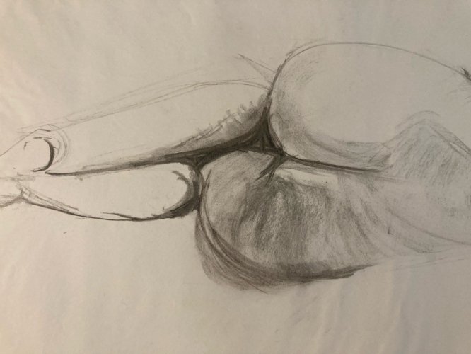 Dessin Ancien Nu Crayon Femme Nue Erotique À Identifier Erotisme 1980