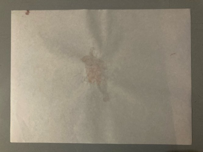 Dessin Aquarelle Crayon Homme Allongé Nu Portrait Deuxième Moitier XXe