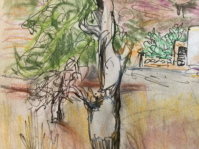 Dessin Aquarelle Encre Paysage Peinture 1970 A Identifier Orientaliste