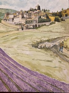 Watercolor Drawing Landscape Painting 1980 Lavender Provence Shepherd Sheep
