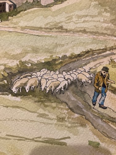 Dessin Aquarelle Paysage Peinture  1980 Lavande Provence Berger Mouton