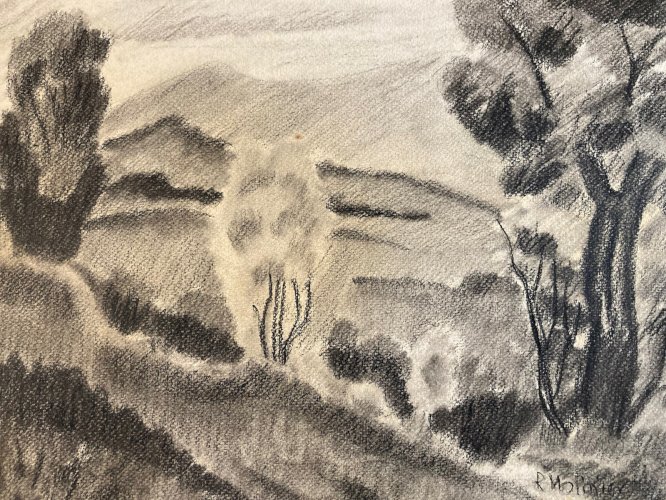 dessin Arbre Papier Fusain Crayon Sur Papier 1960 Ancien a identifier