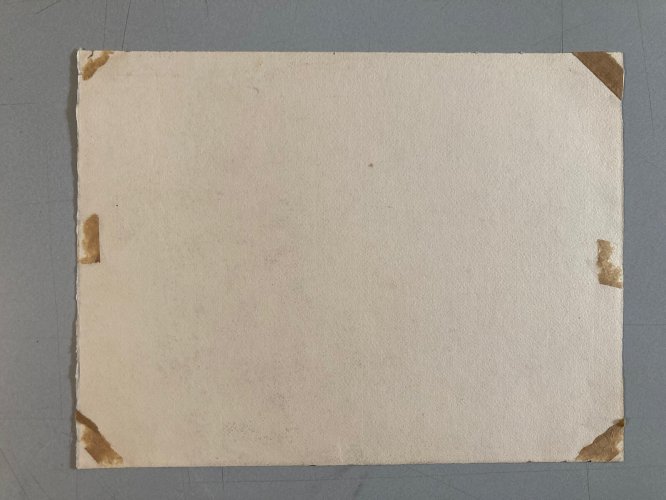 dessin Arbre Papier Fusain Crayon Sur Papier 1960 Ancien a identifier