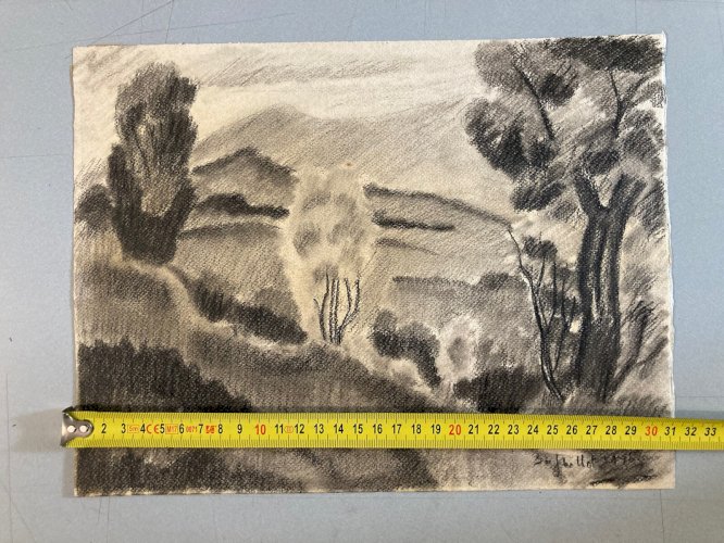 dessin Arbre Papier Fusain Crayon Sur Papier 1960 Ancien a identifier