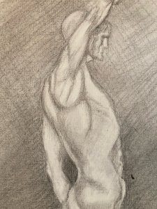 Hand-drawn anatomy art pencil Muscle 1920 Curiosity Body 19th century Drawing