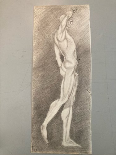 Dessin Art anatomie à la main crayon Muscle 1920 Curiosité Corps XIXe Drawing