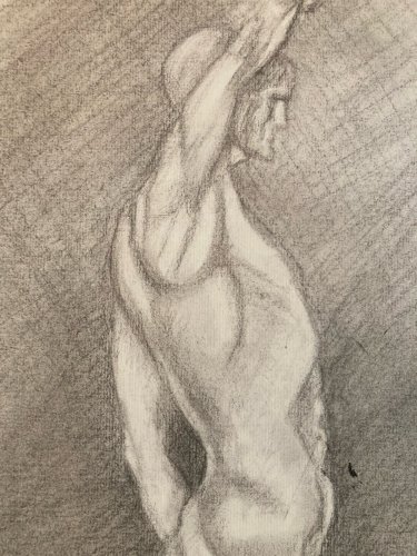 Dessin Art anatomie à la main crayon Muscle 1920 Curiosité Corps XIXe Drawing