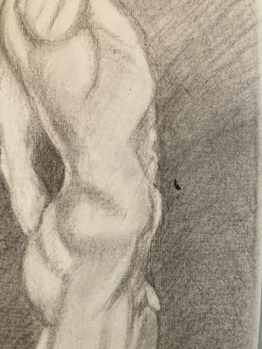 Dessin Art anatomie à la main crayon Muscle 1920 Curiosité Corps XIXe Drawing