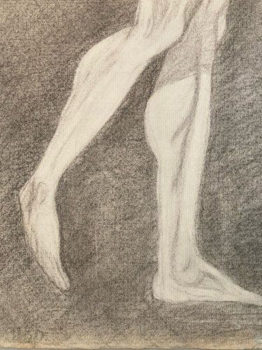 Dessin Art anatomie à la main crayon Muscle 1920 Curiosité Corps XIXe Drawing