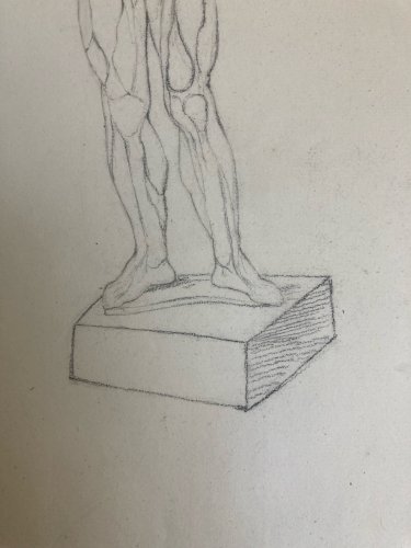 Dessin Art écorché anatomie à la main crayon Muscle 1850 Curiosité Corps XIXe