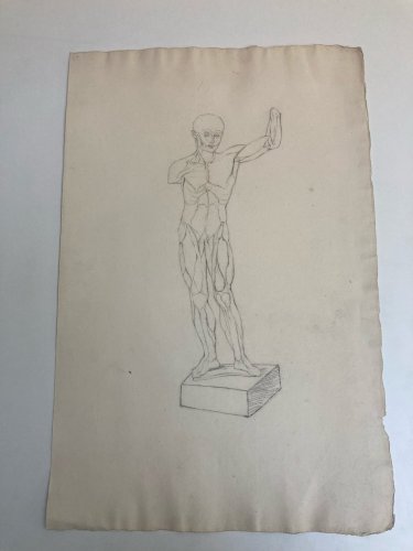 Dessin Art écorché anatomie à la main crayon Muscle 1850 Curiosité Corps XIXe