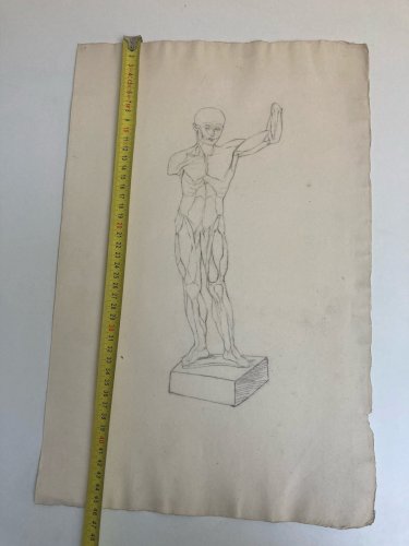 Dessin Art écorché anatomie à la main crayon Muscle 1850 Curiosité Corps XIXe