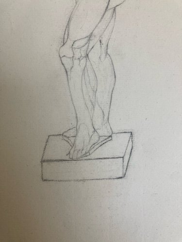 Dessin Art écorché anatomie à la main crayon Muscle 1850 Curiosité Corps