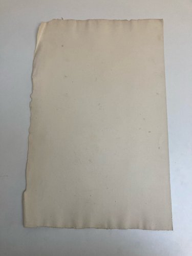 Dessin Art écorché anatomie à la main crayon Muscle 1850 Curiosité Corps