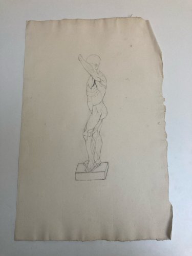 Dessin Art écorché anatomie à la main crayon Muscle 1850 Curiosité Corps