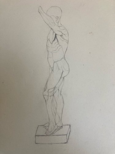 Dessin Art écorché anatomie à la main crayon Muscle 1850 Curiosité Corps