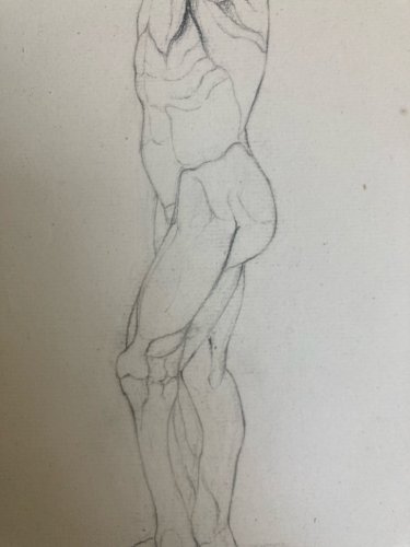 Dessin Art écorché anatomie à la main crayon Muscle 1850 Curiosité Corps