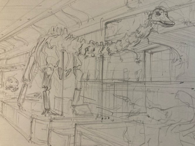 Dessin Art écorché anatomie Musée D’Histoire Naturelle Paris Dinosaure Art