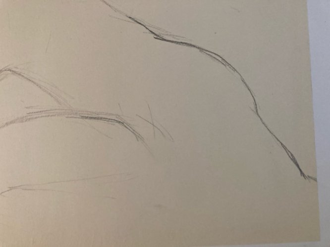 Dessin Art Fusain 1950 Sur Papier Femme Nue Nu Atelier À Identifier Crayon