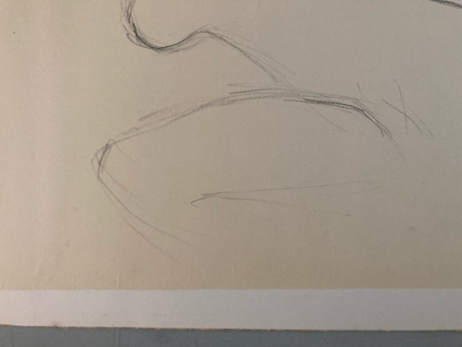 Dessin Art Fusain 1950 Sur Papier Femme Nue Nu Atelier À Identifier Crayon