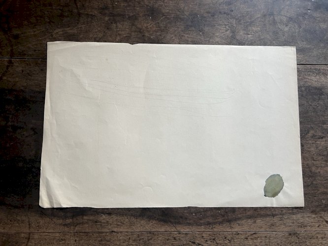 Dessin botanique XIXe étude de plante crayon sur papier antique botanical