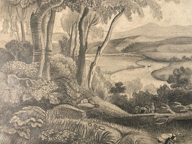 Dessin Crayon 19e à identifier Forêt Arbre Chêne Ancien Maître Art