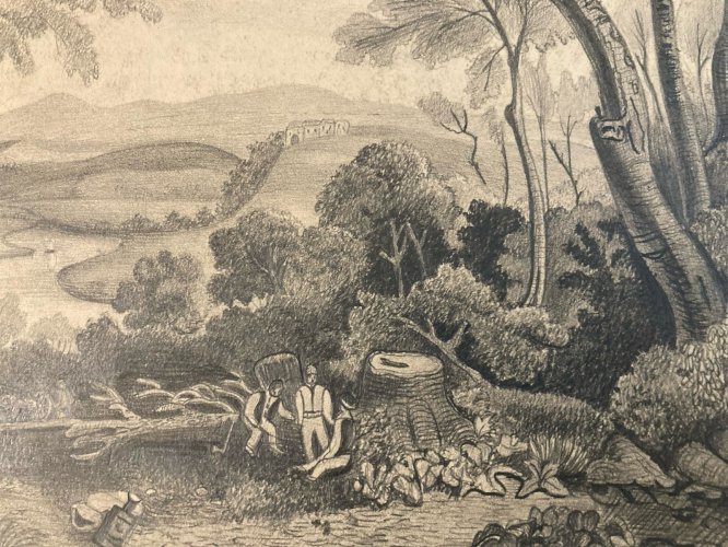 Dessin Crayon 19e à identifier Forêt Arbre Chêne Ancien Maître Art