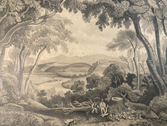 Dessin Crayon 19e à identifier Forêt Arbre Chêne Ancien Maître Art