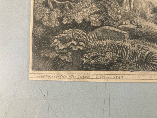 Dessin Crayon 19e à identifier Forêt Arbre Chêne Ancien Maître Art