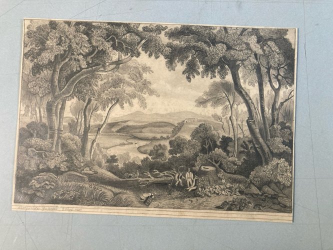Dessin Crayon 19e à identifier Forêt Arbre Chêne Ancien Maître Art