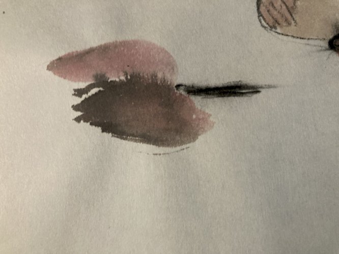 Dessin Crayon Aquarelle Homme Nu Portrait Deuxième Art Plage Moitier XXe