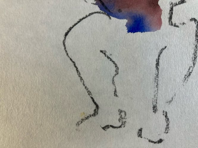 Dessin Crayon Aquarelle Nu Homme Portrait Plage Deuxième Moitier XXe Art
