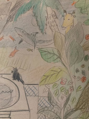 Dessin  Crayon Art Brut Outsider 1960 Naïf Ferme Animaux Aquarium
