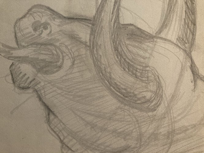 Dessin Crayon Mise À Mort art Corrida Tauromachie 1960Taureau Drawing Old XXe